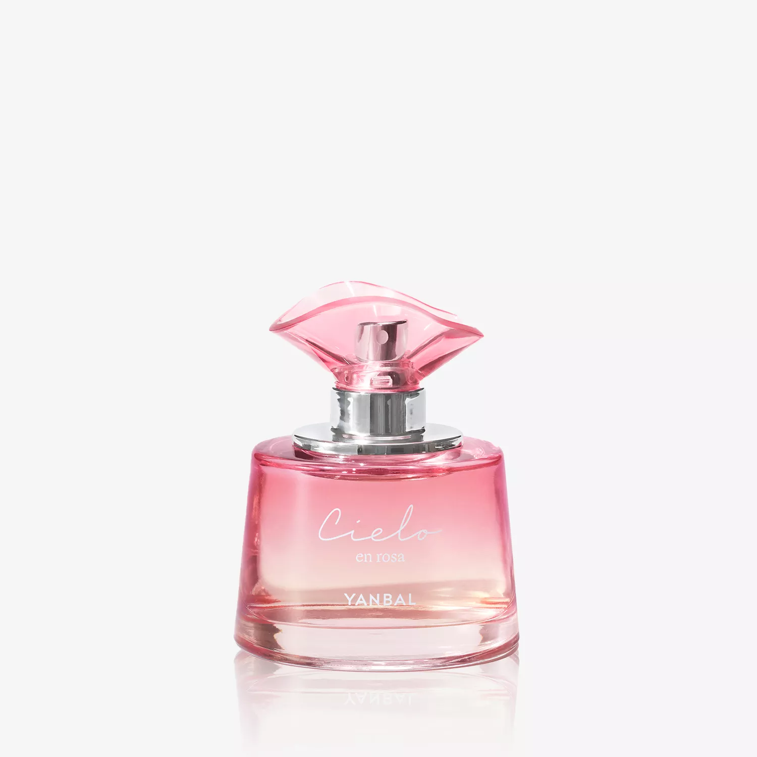Cielo en Rosa